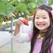 関西で「イチゴ狩り」と「遊び」を満喫してみよう！