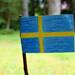 成功例として有名なスウェーデンの少子化対策とは？