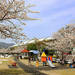 阪神競馬場公園地区の平日開放のご案内：阪神競馬場　ＪＲＡ