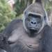 パンダだけじゃない!子どもと行く上野動物園の楽しみ方 - Chiik! - 3分で読める知育マガジン -